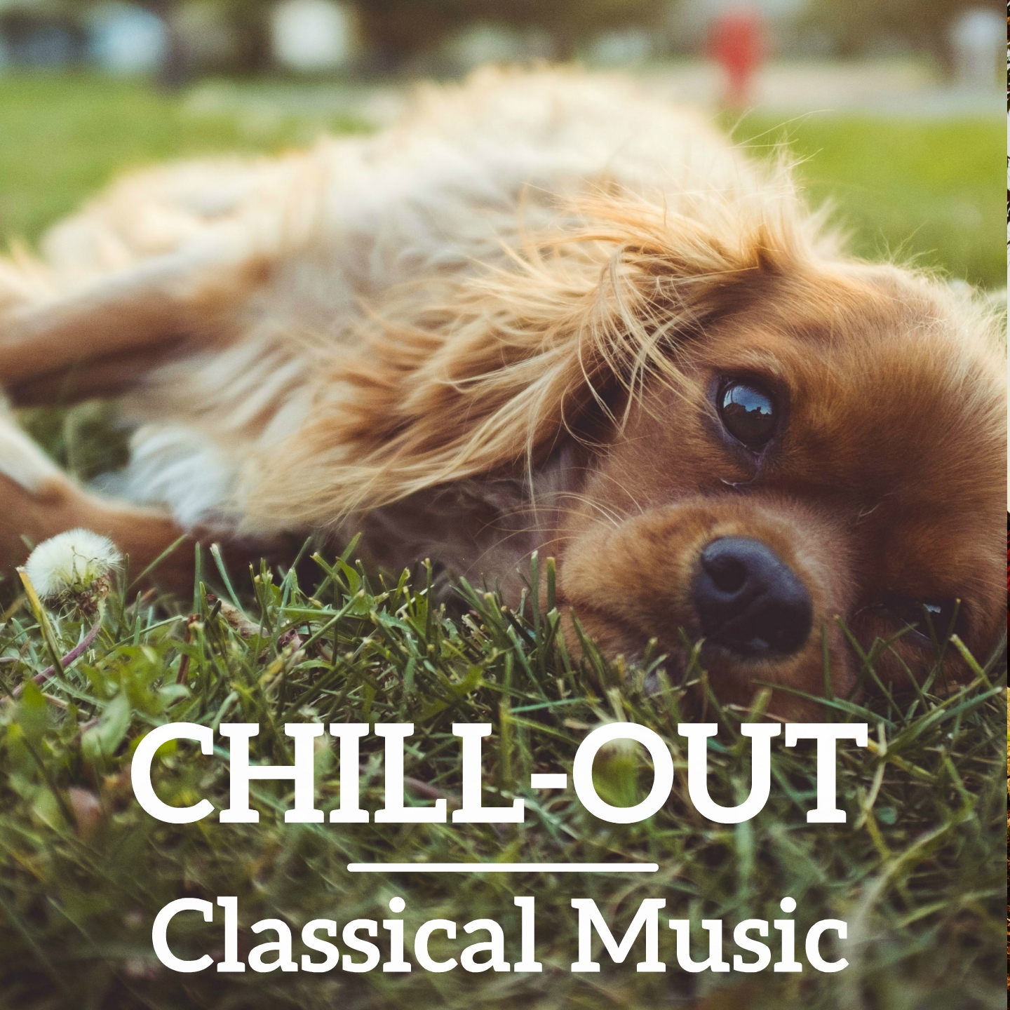 Chill Out Classical Music