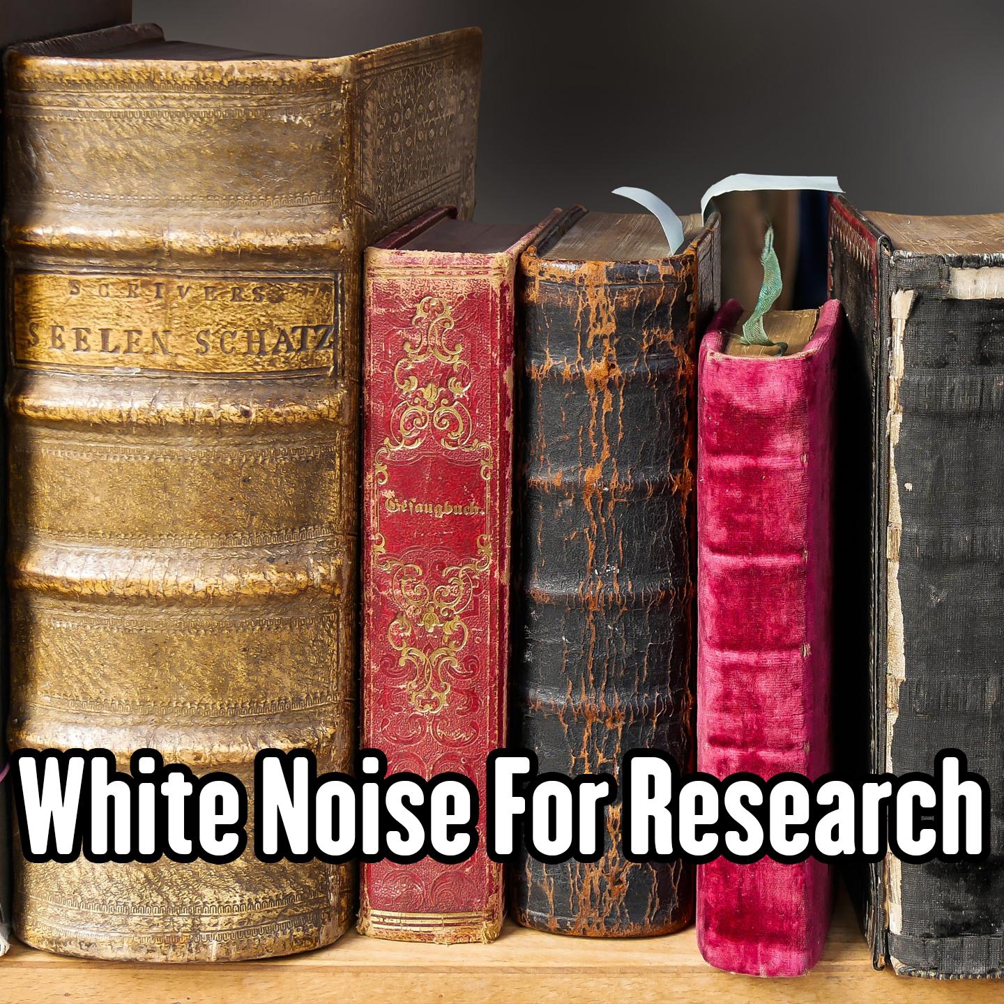 White Noise For Research