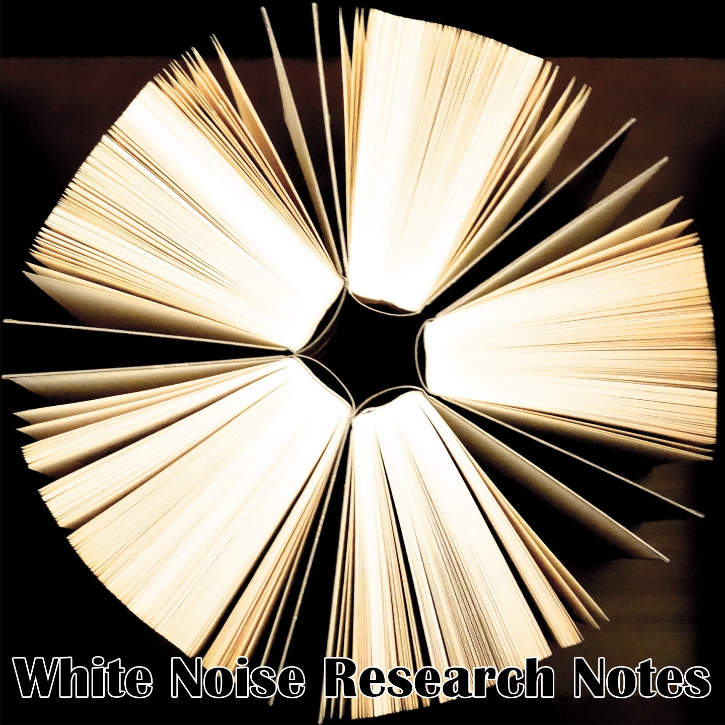 White Noise Research Notes