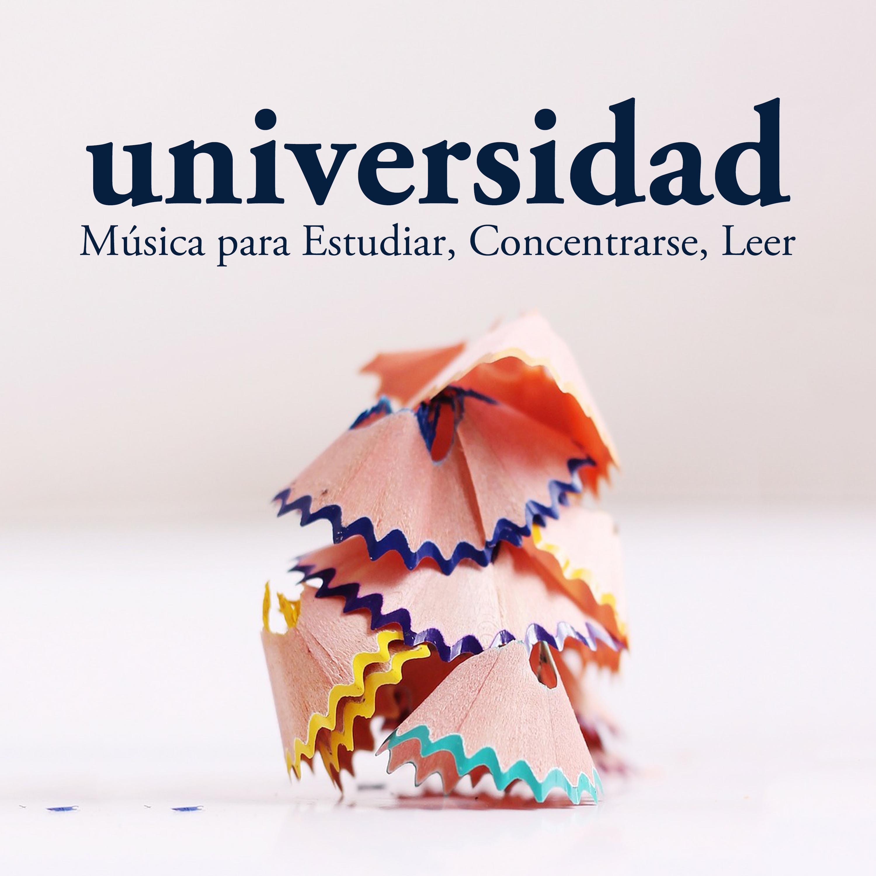 Universidad  Mu sica para Estudiar, Concentrarse, Leer, Paz Interior, Serenidad, Sonidos de la Naturaleza