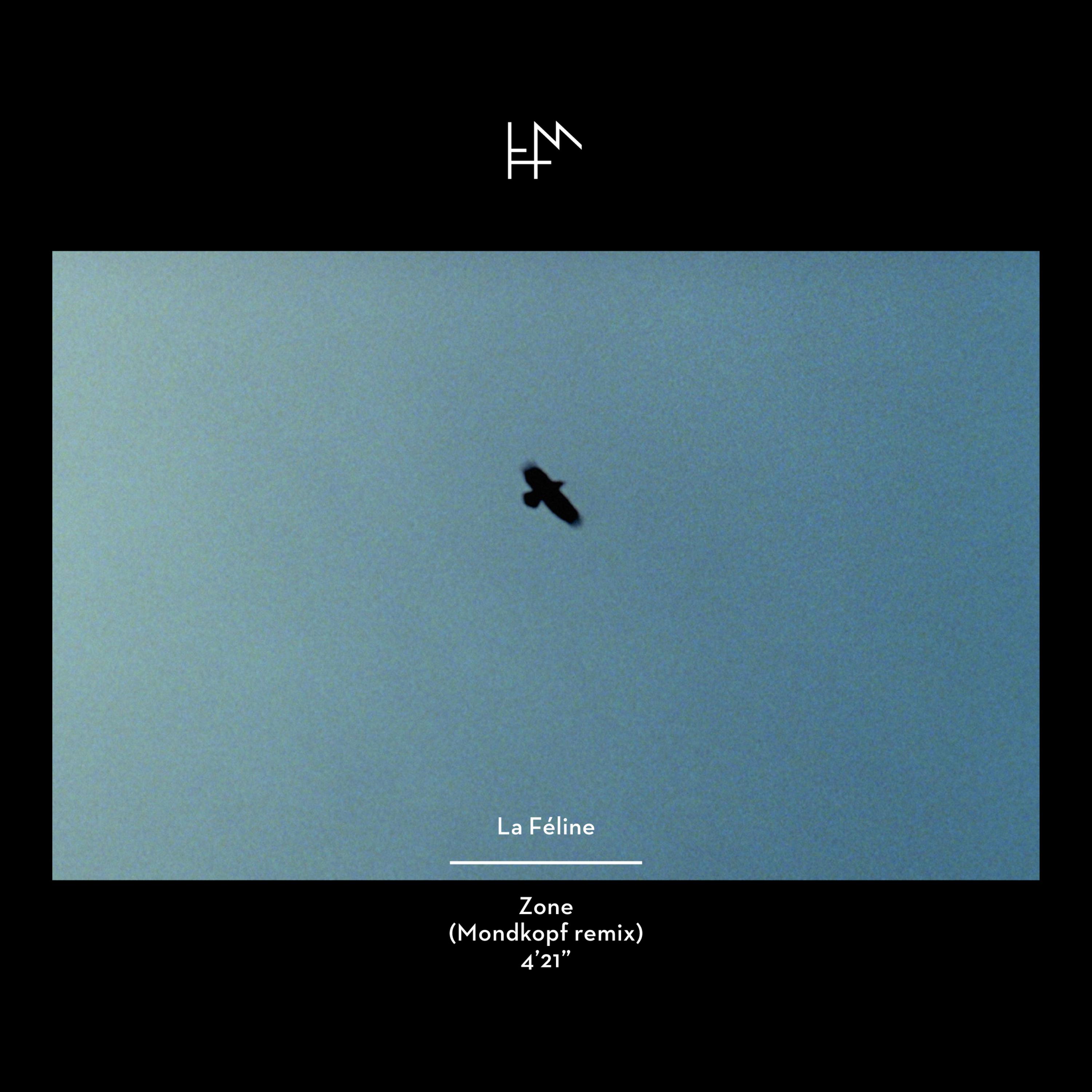 Zone (Album Version)