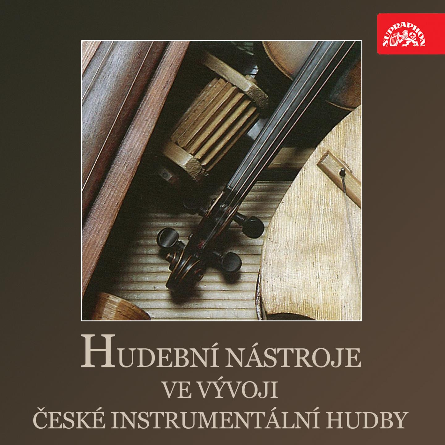 Hudebni Na stroje Ve V voji eske Instrumenta lni Hudby