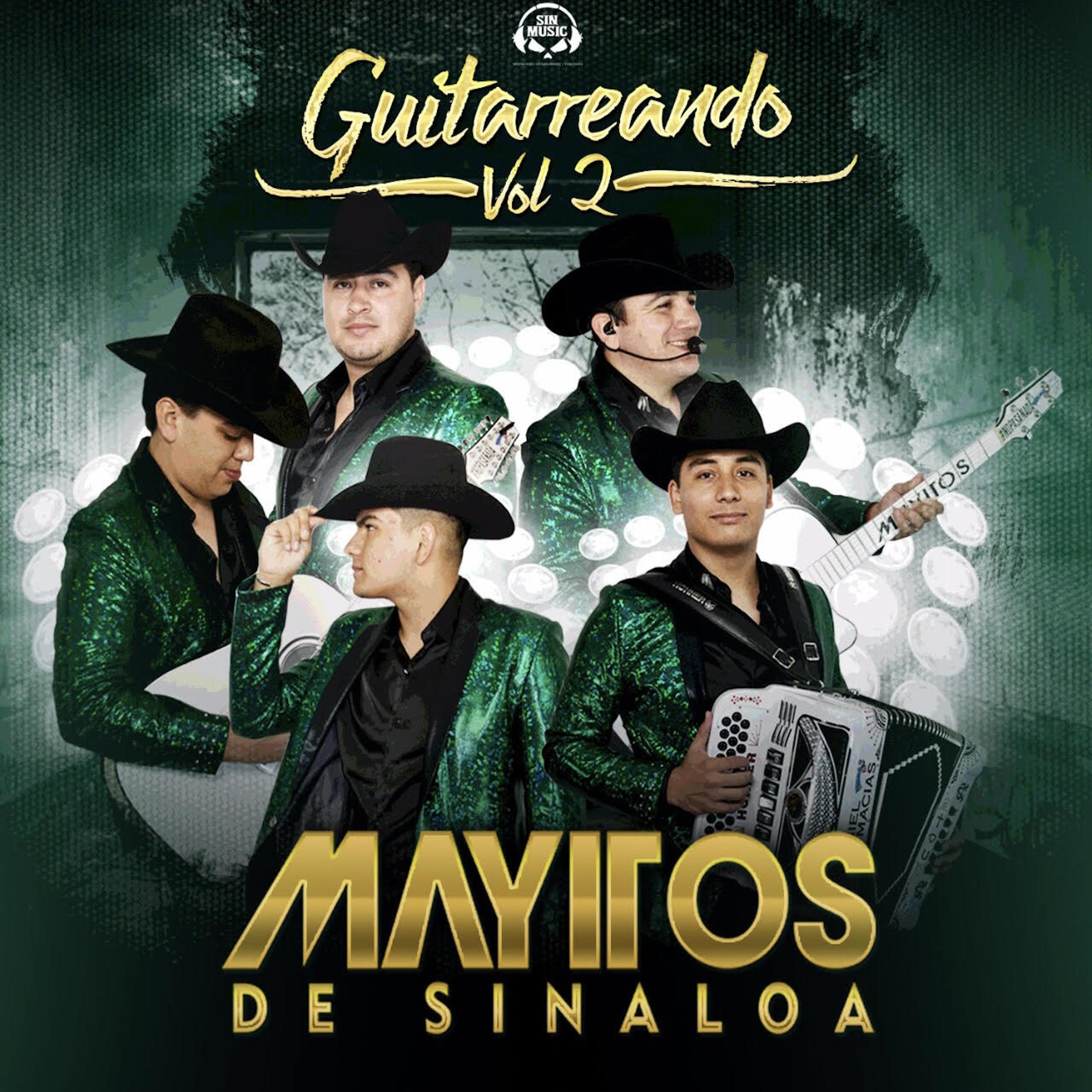 Guitarreando, Vol. 2