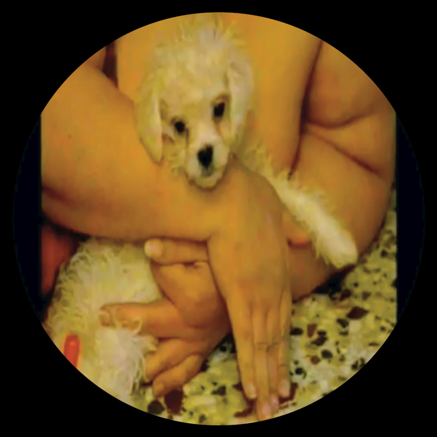 I Believe in Christmas (Classic Christmas Series)