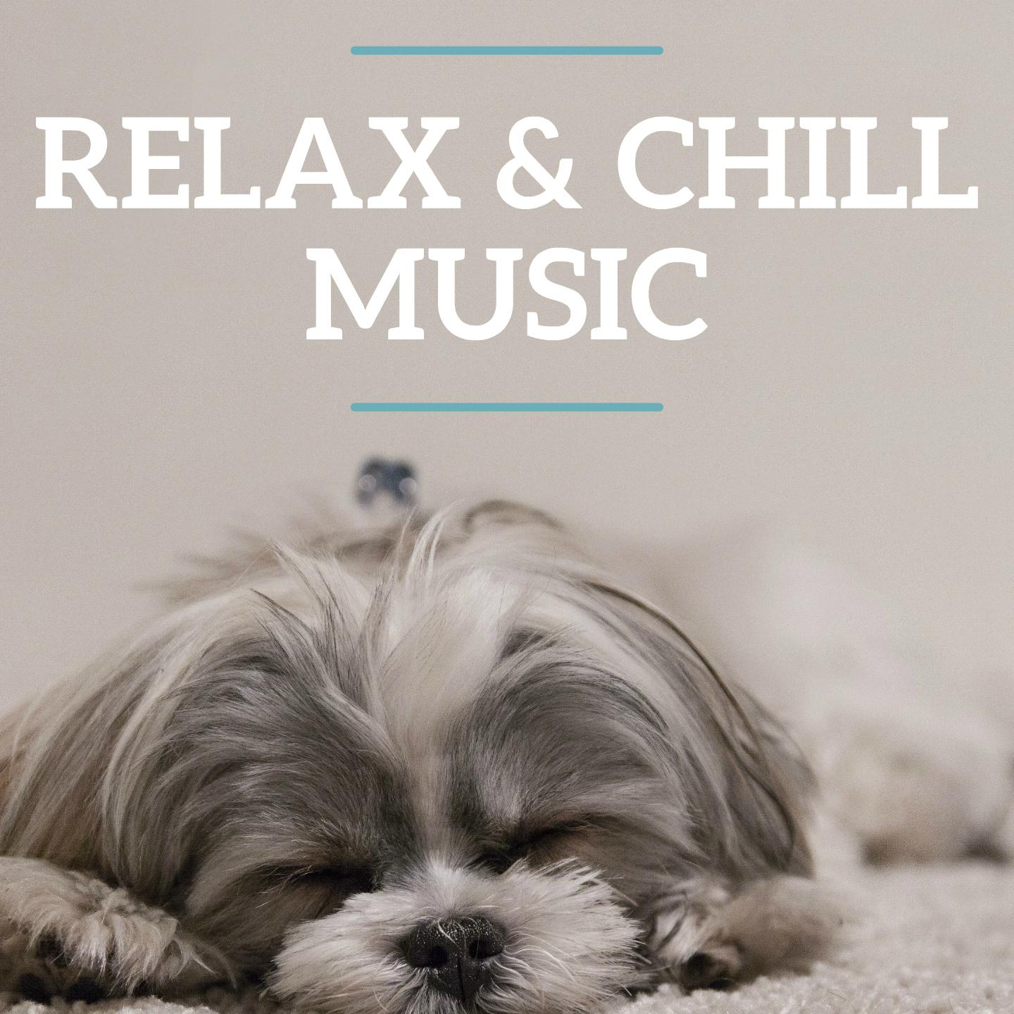 Relax & Chill Music