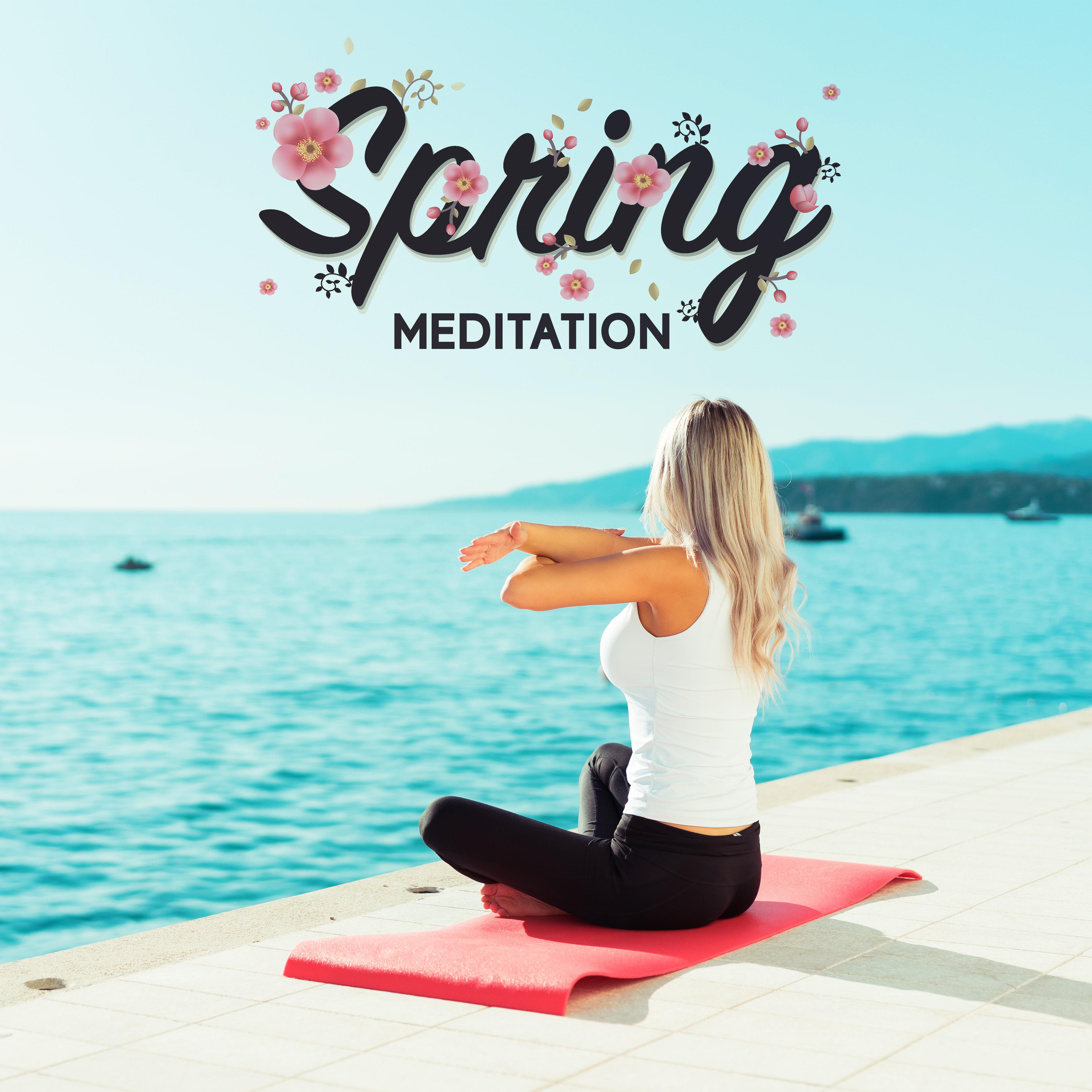 Spring Meditation