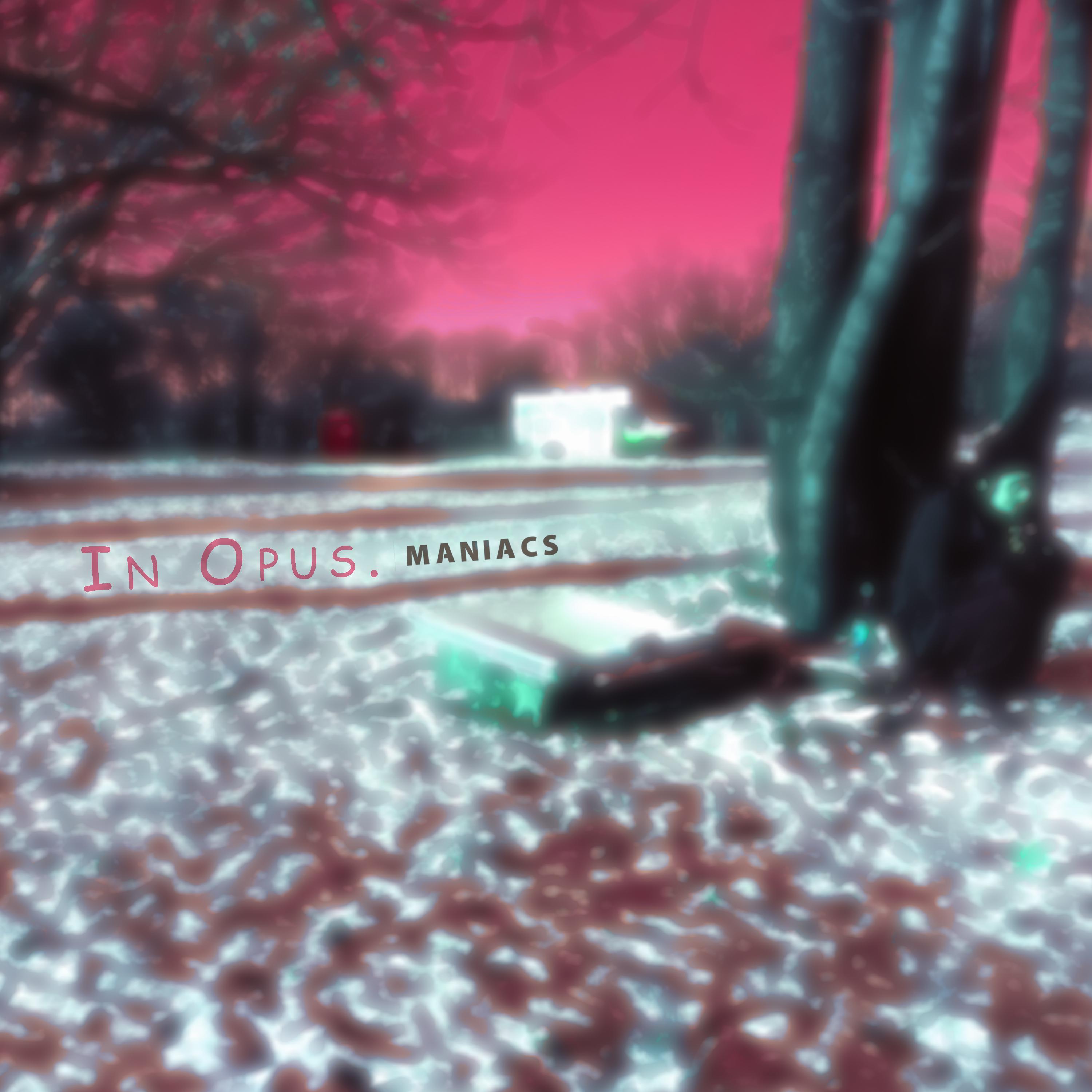 In Dm Opus. Tarantela (Piano Imp.)