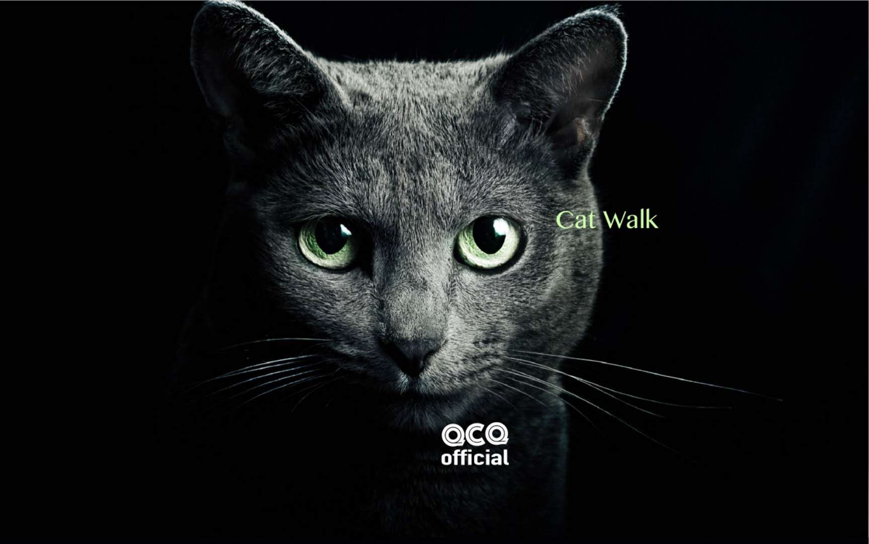 . Dot. Cat Walk QCQ official Remix