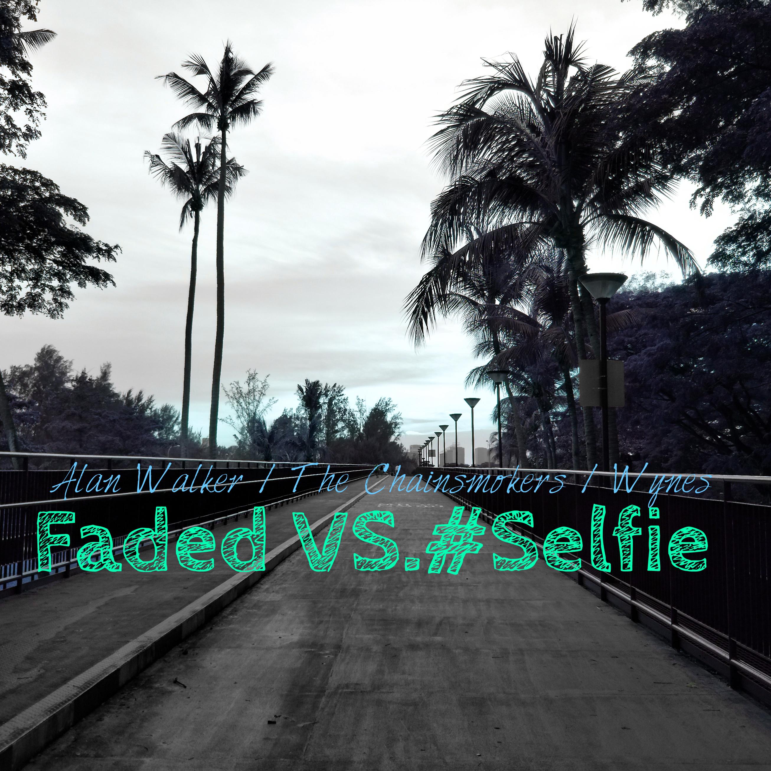 Alan Walker  The Chainsmokers  Faded  Vs.  Selfie