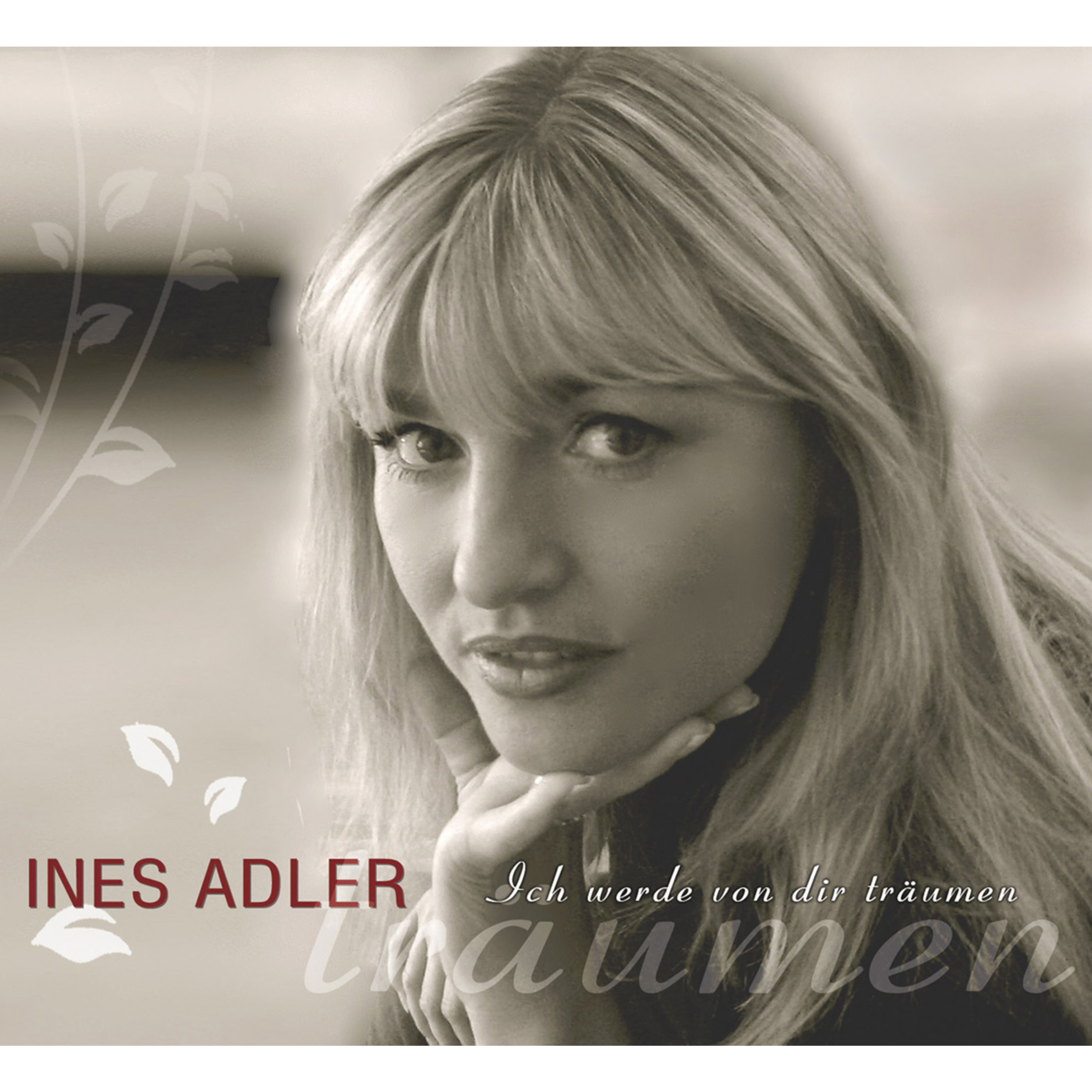 Ich werde von Dir tr umen Radio Mix