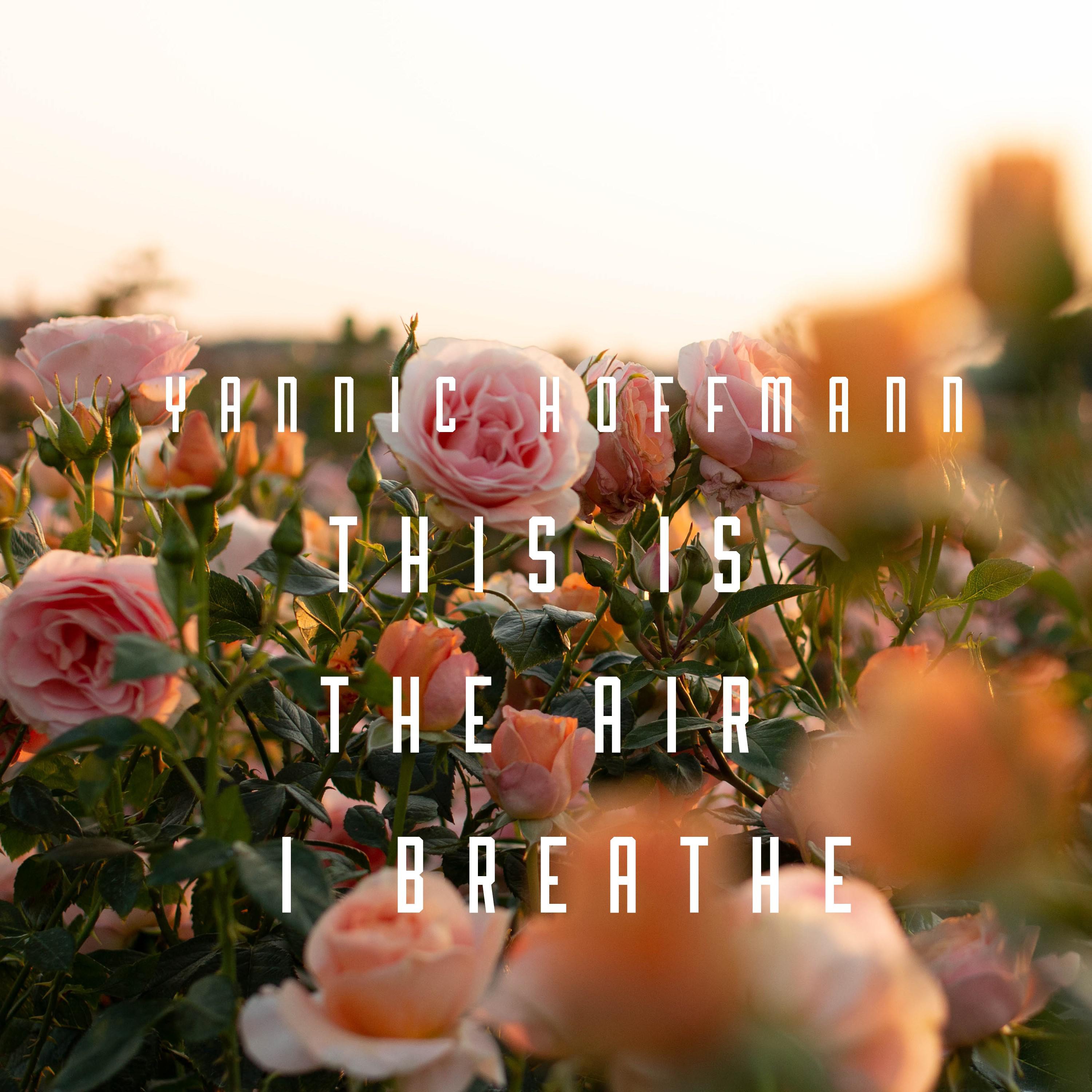 This Is the Air I Breathe