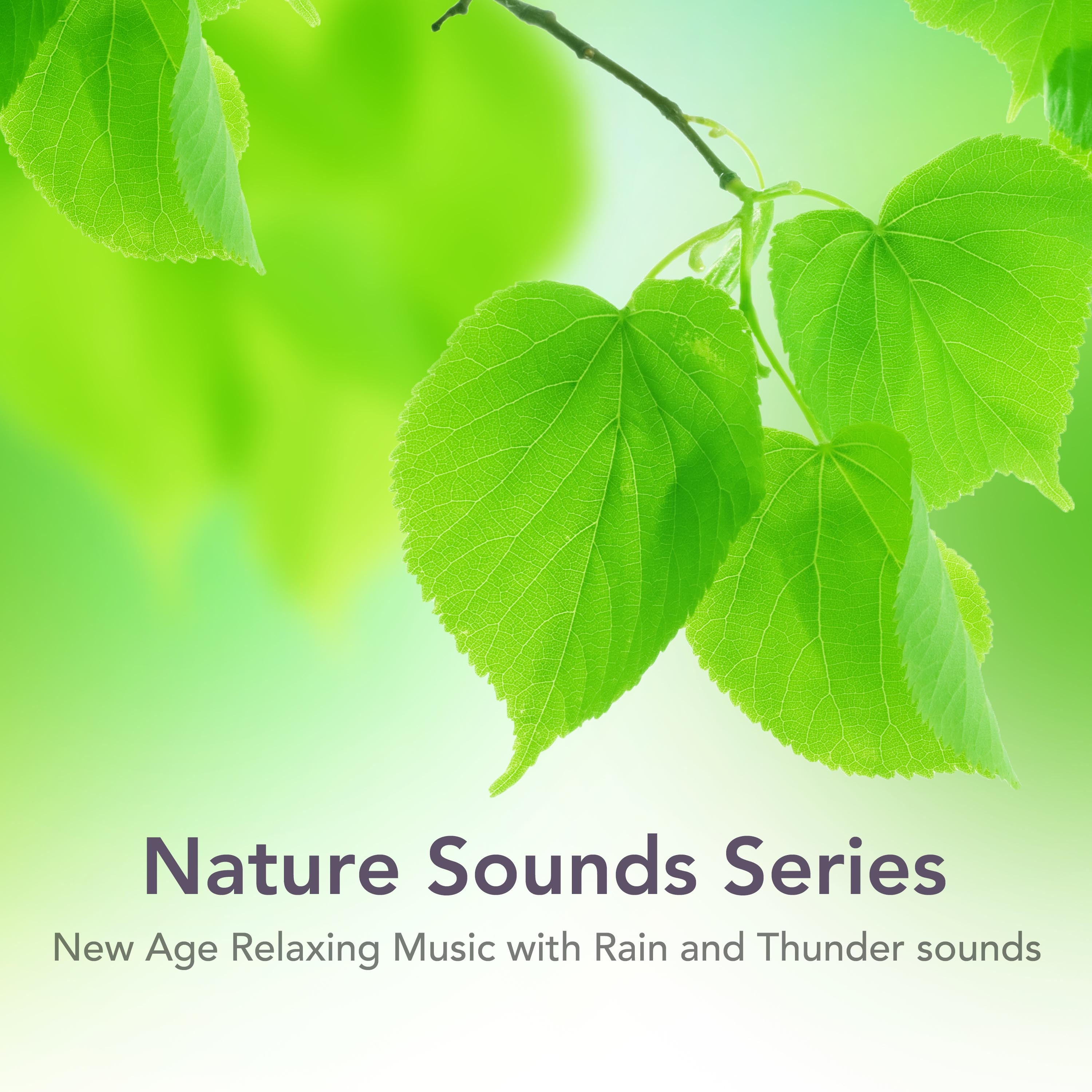 Nature Sounds Series - New Age Relaxing Music with Rain and Thunder sounds, Ocean Waves, Wind, Chimes, Tibetan Bells, Rivers, Forest